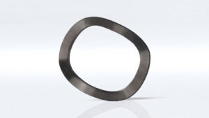 واشر لرزه گیر DIN17222